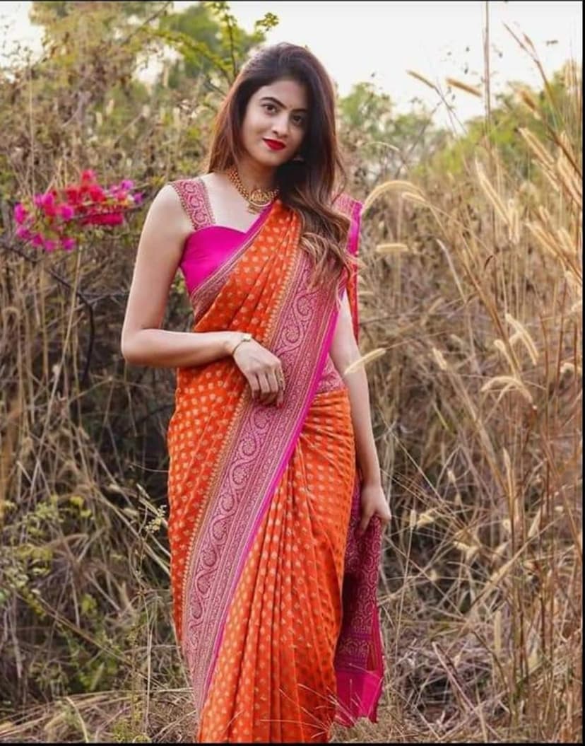 Pure Handloom Georgette Silk